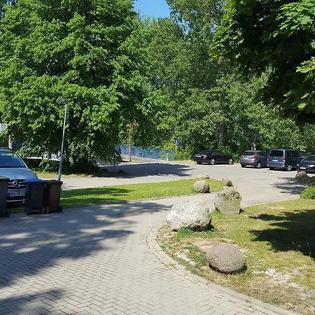 Fischerjung